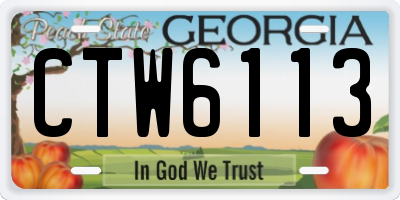 GA license plate CTW6113