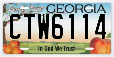 GA license plate CTW6114