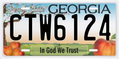GA license plate CTW6124