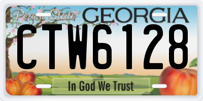 GA license plate CTW6128