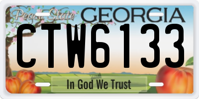 GA license plate CTW6133