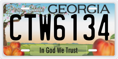 GA license plate CTW6134