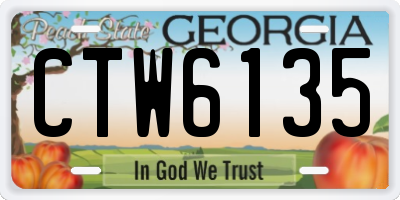 GA license plate CTW6135