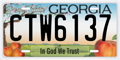 GA license plate CTW6137