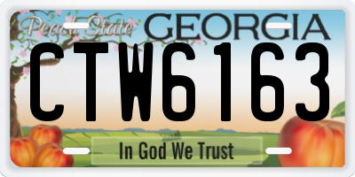 GA license plate CTW6163