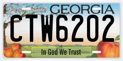 GA license plate CTW6202
