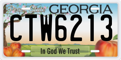 GA license plate CTW6213