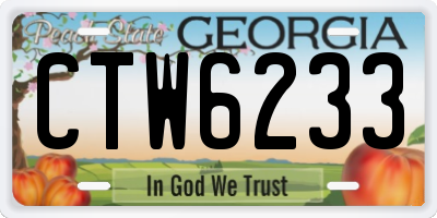 GA license plate CTW6233