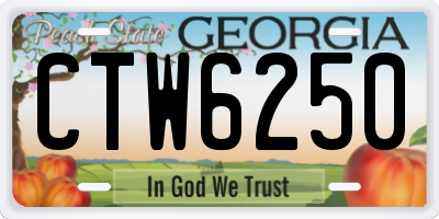 GA license plate CTW6250