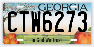 GA license plate CTW6273