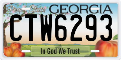 GA license plate CTW6293