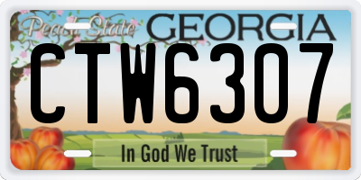 GA license plate CTW6307
