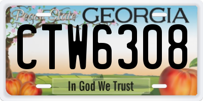 GA license plate CTW6308