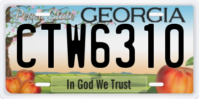 GA license plate CTW6310