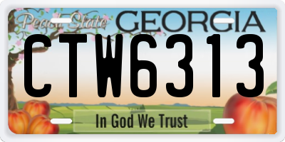 GA license plate CTW6313