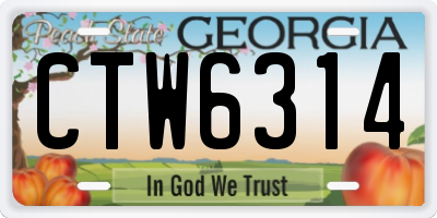 GA license plate CTW6314