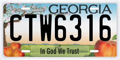 GA license plate CTW6316