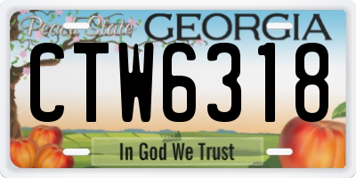 GA license plate CTW6318