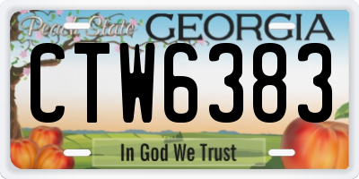GA license plate CTW6383