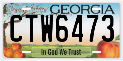 GA license plate CTW6473