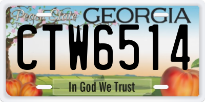 GA license plate CTW6514