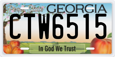 GA license plate CTW6515