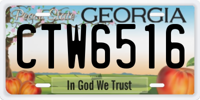 GA license plate CTW6516