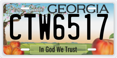 GA license plate CTW6517