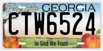 GA license plate CTW6524