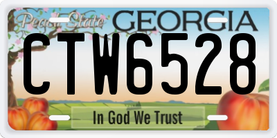 GA license plate CTW6528