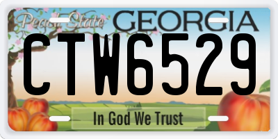 GA license plate CTW6529