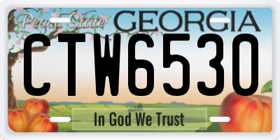 GA license plate CTW6530