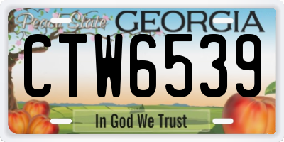 GA license plate CTW6539