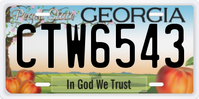 GA license plate CTW6543