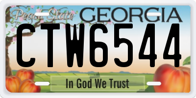 GA license plate CTW6544