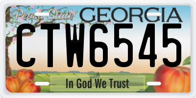 GA license plate CTW6545