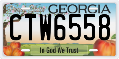 GA license plate CTW6558
