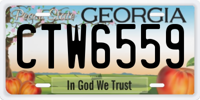 GA license plate CTW6559
