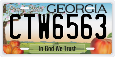 GA license plate CTW6563