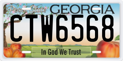 GA license plate CTW6568