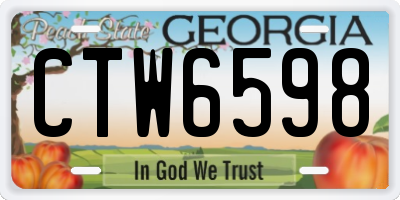 GA license plate CTW6598