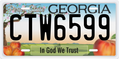 GA license plate CTW6599