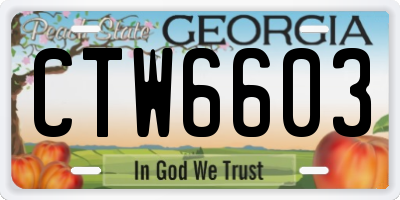 GA license plate CTW6603