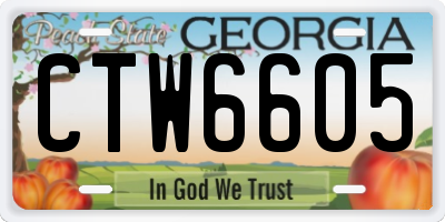 GA license plate CTW6605