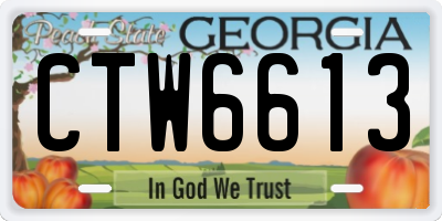 GA license plate CTW6613