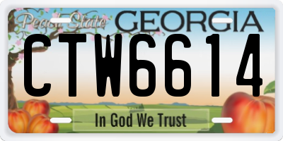 GA license plate CTW6614