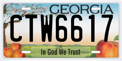 GA license plate CTW6617