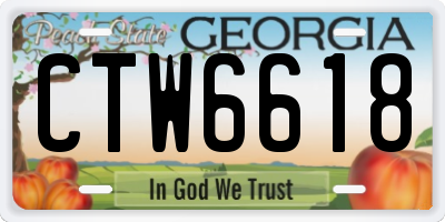 GA license plate CTW6618