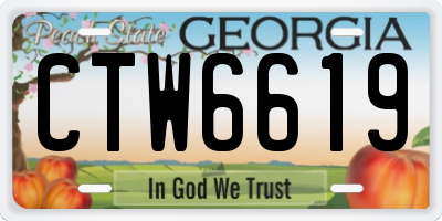 GA license plate CTW6619