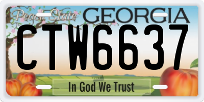 GA license plate CTW6637